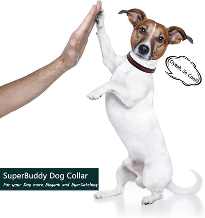 Premium Dog Collar, Cute Dog Collars Luxury Style, Durable Pet Collars and Dog Leash with Metal Buckle Safety for Puppy Small Dogs